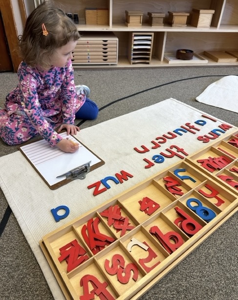 A child working with Montessori language materials on a classroom rug.