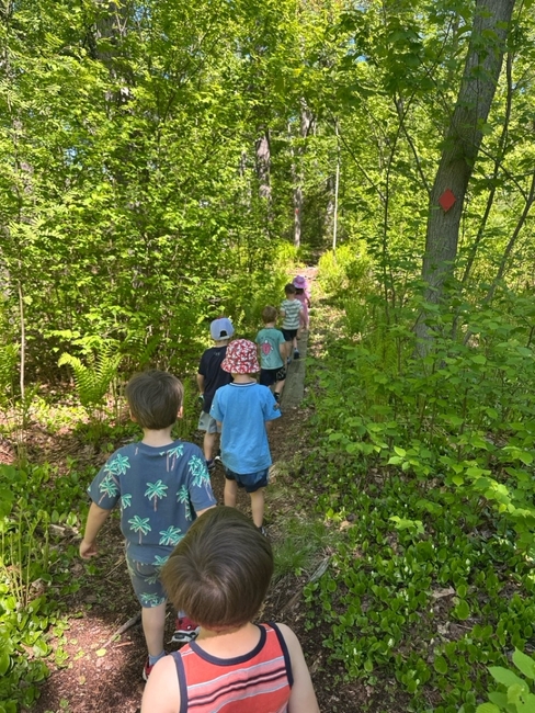 A group of children walking together through a wooded nature trail.