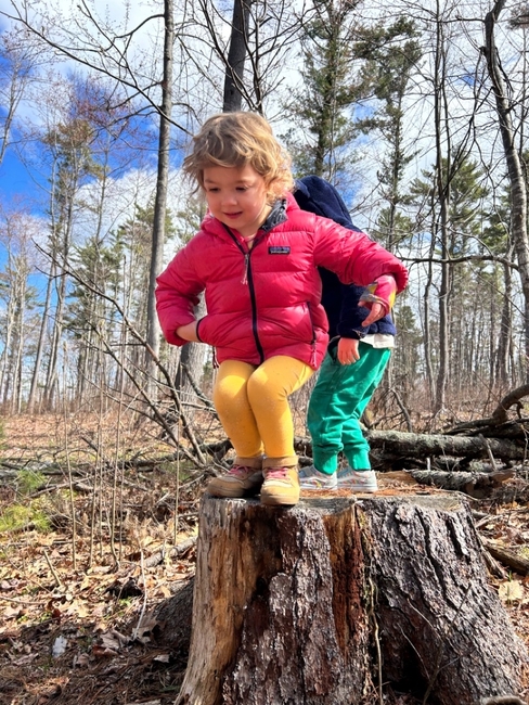 Children exploring balance and movement on a tree stump outdoors.